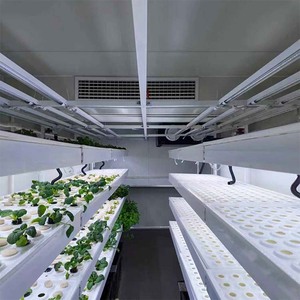 Sistema de cultivo cerrado, diseño de circulación de aire, alto rendimiento para la producción de verduras de hoja orgánicas, granja de cultivo en contenedores para vegetales de hoja. - Product Image 2