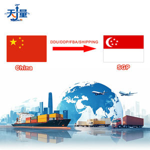 UPS, DHL, <span class=keywords><strong>FedEx</strong></span> 및 LEGION을 통해 중국 광저우에서 싱가포르까지 가장 저렴한 방문 물류. - Product Image 1