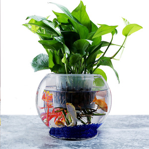 6インチの卓上装飾用透明丸型ミニガラス水槽（底付き） - Product Image 4