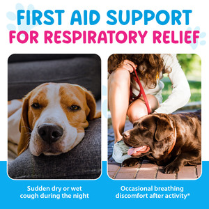 Worafy Bán Buôn 60Ml Con Chó Đ<span class=keywords><strong>i</strong></span>ều Trị Ho Chất Lỏng Giọt 100% Tự Nhiên Cũ<span class=keywords><strong>i</strong></span> Ho Bổ Sung Cho Chó - Product Image 3