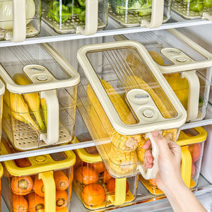 Cấp thực phẩm tủ lạnh xử lý hộp lưu trữ-Trái cây và rau lưu trữ và bảo quản, tổ chức tạo tác - Product Image 1