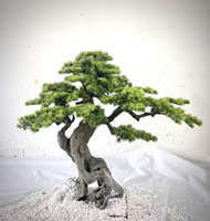Grüner Willkommens-Kiefernbaum für Garten Außen- und Innendekoration Künstliche Kiefern im Chinesischen Stil