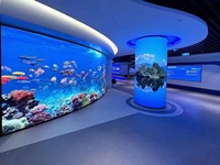 Module LED couleur pleine GOB P1.25 P1.53 P1.86 P2 P2.5 320x160mm pour écran incurvé intérieur, panneau mural vidéo en arc