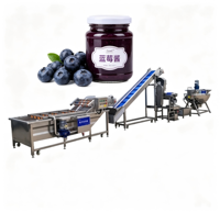 Productielijn voor mango-bessenjam, -gelei en -marmelade, inclusief gejackete ketel, kook-, meng- en vulmachine, 304 roestvrij staal