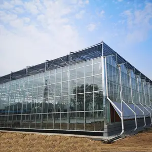 Wind Resistant Prefabricated 1 Stop Gardens Greenhouse Parts Greenhouse Victorian Glass Green House