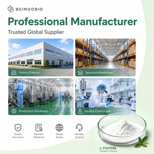 <span class=keywords><strong>Polvo</strong></span> de L-Fucose 99% <span class=keywords><strong>para</strong></span> la Síntesis de HMO Recombinantes, Precursor de 2-FL, Materia Prima <span class=keywords><strong>para</strong></span> Fórmula Infantil, Suministro a Granel - Product Image 6