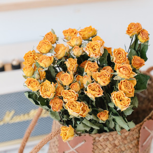Branches de fleurs naturelles séchées multi-têtes en forme de diamant, mini-roses séchées à l'air, vraies fleurs Rosa Multiflora pour arrangements floraux, bouquets et vases - Product Image 4
