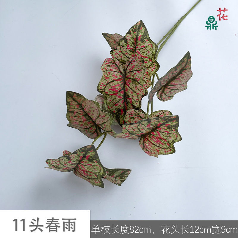 11 Spring Rain JH Vert veiné rouge