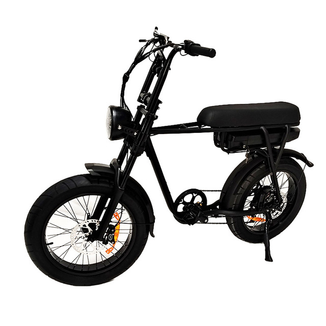 EU Warehouse Electric Bicycle 48V Electric Bike 500W 750W City Hybrid Mountain Bike