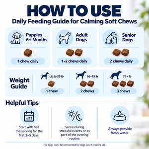 En stock – Friandises calmantes pour chien à la L-Théanine, Camomille et Valériane pour un comportement détendu et un soutien quotidien au bien-être canin 300g - Product Image 5