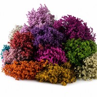 Arrangement de Bouquet de Fleurs Séchées Préservées, Herbe de Cristal Éternel, Fleurs Décoratives pour la Maison pour la Fête des Mères