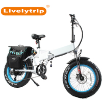 250W bicicleta eléctrica grasa bicicleta plegable marco con doble suspensión