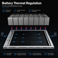 Plaque froide liquide en aluminium à microcanaux pour module de batterie prismatique, pack EV, gestion thermique ESS, usine