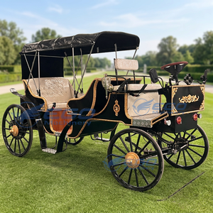 Fabricant de chariots à chevaux électriques de tourisme Victoria personnalisés de qualité supérieure - Product Image 2