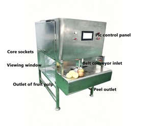 Machine industrielle automatique de découpe et d'épluchage pour oranges, poires, citrons, kakis, fruits du dragon et mangues - Product Image 6