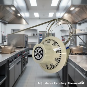 Italia C.A.E.M 60 ℃ ~400 ℃   Control de temperatura capilar para esterilizador - Product Image 3