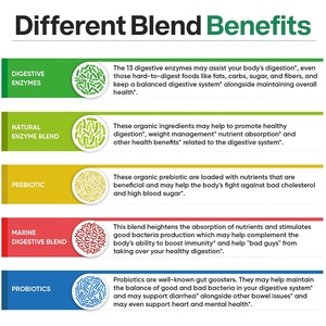 مكملات خاصة للرعاية الصحية من بروبيوتيك يمكنها تحسين الجهاز الهضمي وتعزيز المناعة ، كبسولة إنزيمات الجهاز الهضمي - Product Image 3