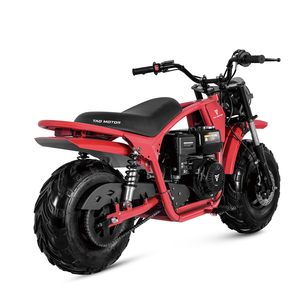 รถมอเตอร์ไซค์ Tao Motor 2025 รุ่นใหม่ โครงเหล็ก ยางอ้วน สำหรับขับขี่ออฟโรด 200 ซีซี มินิไบค์ - Product Image 4