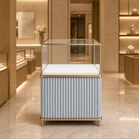 Luxuriöse Edelstahl-Schmuckvitrine mit LED-Beleuchtung Glasrückwand Umweltfreundliches Design für Anpassbare Einzelhandelspräsentation
