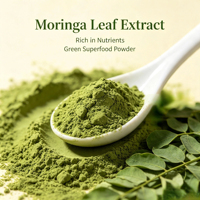Venta al por mayor de fábrica, muestra gratuita, polvo de hoja de moringa de grado alimenticio 100 mesh para té de hierbas, materia prima para formulación de alimentos funcionales