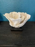 Ornement en résine artificielle de corail blanc Top Grace avec base en acrylique, décoration de table