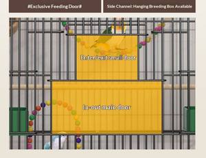 Jaula <span class=keywords><strong>para</strong></span> Pájaros Pequeños OEM Chuangduo (Periquitos), Jaula Metálica Resistente <span class=keywords><strong>para</strong></span> Mascotas, Juguetes, Bandeja Fácil <span class=keywords><strong>de</strong></span> Limpiar, Garantía <span class=keywords><strong>de</strong></span> 3 Meses, Forma Cuadrada - Product Image 5
