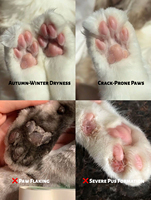Baume pour pattes vegan personnalisé avec logo simple pour chiens et chats, hydrate, protège la peau endommagée, crème réparatrice, pommade