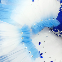 T0330 Vente chaude Costumes de tutu bleus classiques orientaux Robes de performance pour filles Tenues de danse de scène Jupes tutu pour adultes