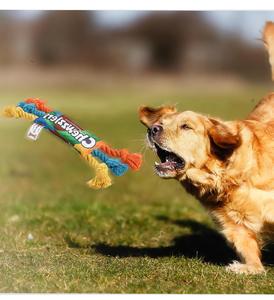 Juguete de Cuerda de Algodón Resistente a Mordidas para Perros, con Nudo, para Entrenamiento de Cachorros, Juguete Interactivo para Jalar, Juguetes Chirriantes para Mascotas - Product Image 4