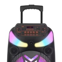 Altavoz de Karaoke Portátil, Reproductor de Música, Altavoces Grandes para Fiestas al Aire Libre, Luz RGB, Altavoz de Karaoke de 12 Pulgadas con Micrófono y Bluetooth