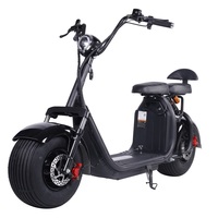 Scooter Eléctrico Clásico de 1500W, Económico, de 2 Plazas, Citycoco, con Dos Ranuras para Baterías de Litio Extraíbles