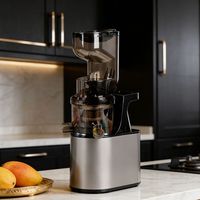 Extracteur de jus à froid au design moderne, machine domestique à séparation de pulpe pour jus de fruits, légumes et lait de soja