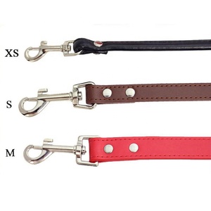 Guinzaglio per Cani di Lusso Durevole, Semplice e Solido, Colori Vivaci, 16 Cinghie Piatte in PU con Moschettone in Metallo - Product Image 2