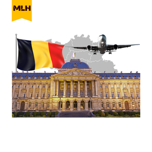 Fast Air Trucking Cargo <span class=keywords><strong>Express</strong></span> Envío postal Puerta a puerta Agente <span class=keywords><strong>de</strong></span> envío <span class=keywords><strong>de</strong></span> China a Bélgica - Product Image 1