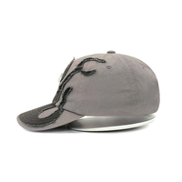 Katoenen Oxford stof patch geborduurde patroon groothandel 6-delige 100% katoenen baseball caps voor volwassenen met metalen gesp