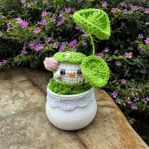 Hạt giống sen Pod bé chậu cây, Bionic chậu cây, Bionic bó hoa, bảo quản hoa, món quà kỳ nghỉ - Product Image 2