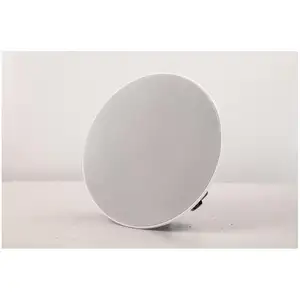 Altoparlante da 15 pollici con microfono da 15 pollici alimentato da un sistema di musica professionale lampada da 1000 W bassi 1000 Watt altoparlanti Feiyang