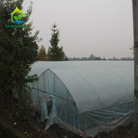 Kit de serre tunnel agricole automatique à simple travée de 300 m² en film PE pour tomates, sur mesure