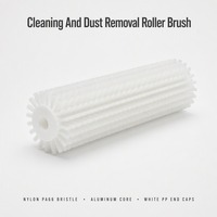 Rouleau de brosse à poils en nylon industriel BR-N50, diamètre extérieur 50 mm, noyau en aluminium, poils en PA66 blancs, rouleau de nettoyage pour éliminer la poussière