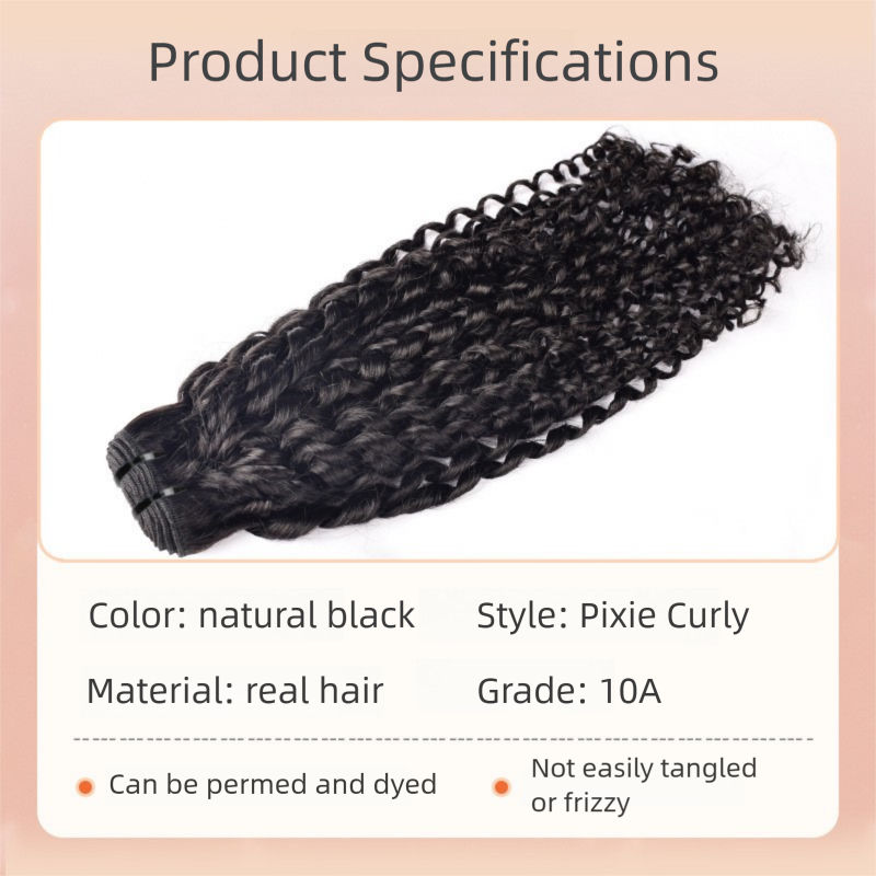 พิกซี่ เคอร์ลี่ (10A SDD)