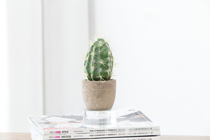 Nuevo diseño barato al por mayor lindo <span class=keywords><strong>cactus</strong></span> de pulpa de papel maceta artificial plantas suculentas bonsai para la venta - Product Image 4