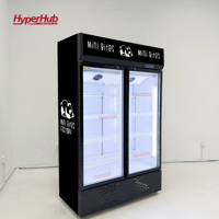 Vitrine Réfrigérée Grande Capacité Sans Givre avec Serrure à Clé de Sécurité pour Boissons, Sodas, Bières, Jus – Idéale pour Magasins de Détail