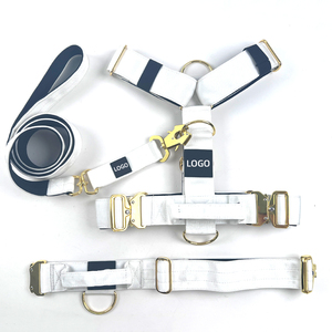 Maßgefertigtes Hochwertiges Zugsicheres Taktisches Hundegeschirr-Set mit Gepolstertem Verstellbarem Hundehalsband Geeignet für Mittelgroße bis Große Hunde - Product Image 1