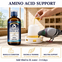 Supplément Liquide d'Acides Aminés pour Pigeons de Course DL-Méthionine Acides Aminés Essentiels pour la Moltaison et l'Élevage 500ml OEM