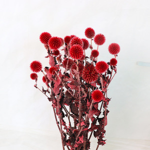 Fleur de Thistle <span class=keywords><strong>Bleu</strong></span> Naturel Minimaliste, Globe Décoratif Rustique pour Mariage à Domicile, Échinops <span class=keywords><strong>Séché</strong></span> et Préservé, Eryngium <span class=keywords><strong>Bleu</strong></span> - Product Image 6