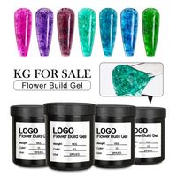 Nouveau Gel de Construction pour Ongles 2023 - 13 Couleurs - Vente en Gros - Emballage 1Kg - Gel de Construction pour Extension d'Ongles