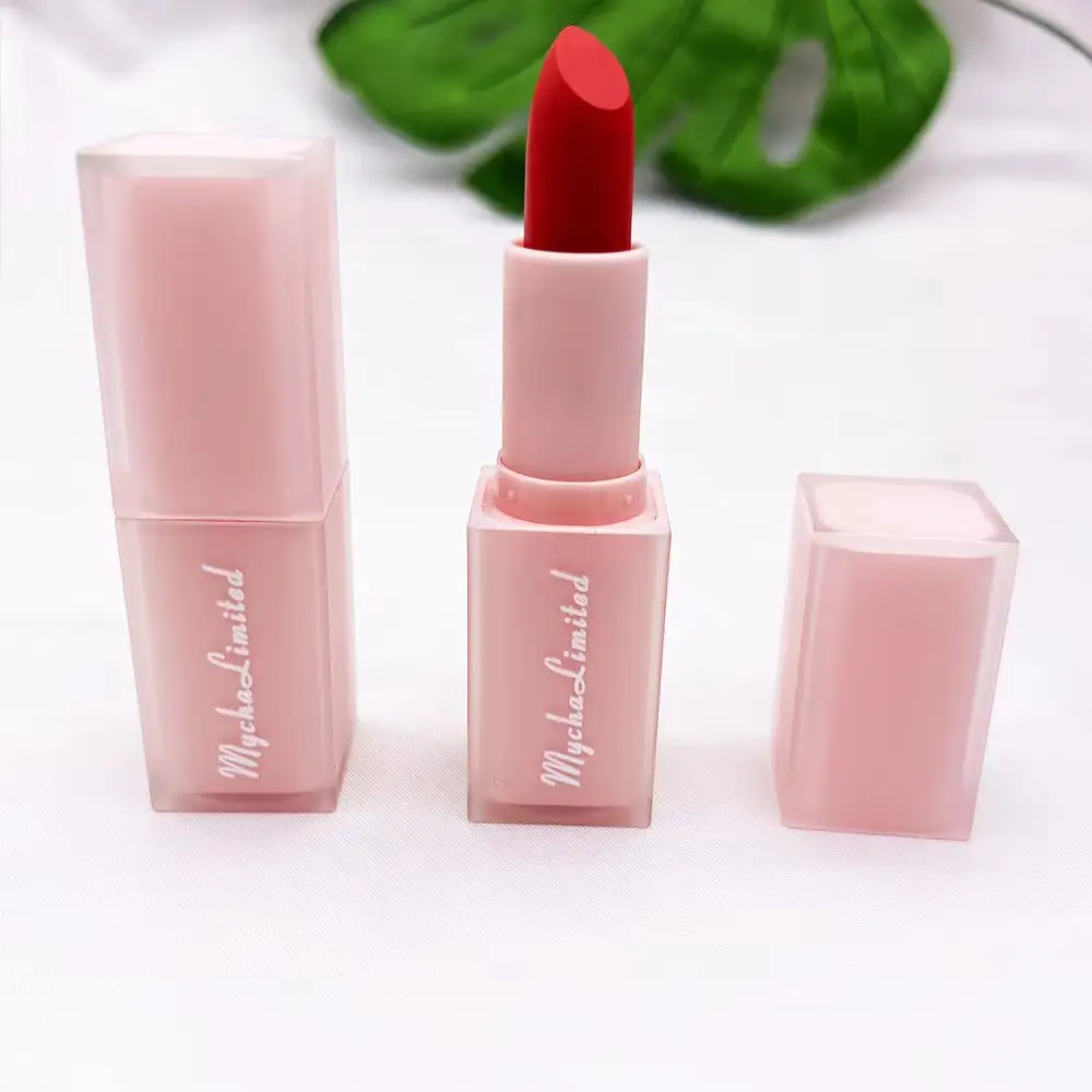 cosmetics makeups paste lipstick matte custom lipsticks waterproof long lasting