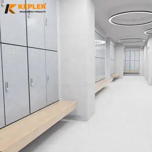 Özelleştirilmiş yanmaz spor salonu ofis okul değişen oda kilitli saklama dolabı su geçirmez fenolik reçine paneli HPL kompakt lamine levha