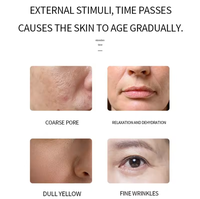 Coffret de Soins de Luxe au Fenouil Marin : Sérum Acide Hyaluronique et Vitamine C, Nettoyant Visage, Lotion Tonifiante, Solution Anti-Cernes pour les Soins de la Peau