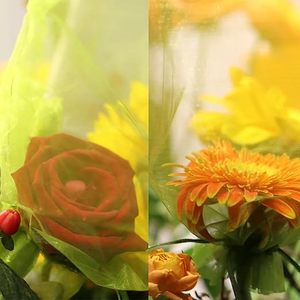 Huamaohengchun6.7''×9''DrawstringFruit <b>Netting</b> Bags,eusableGardenNettingBags,FruitCoverMeshBagfor Fruit Trees Vegetable Floral - Product Image 6